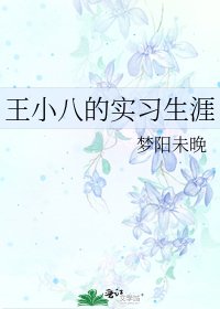 王小八的實習生涯